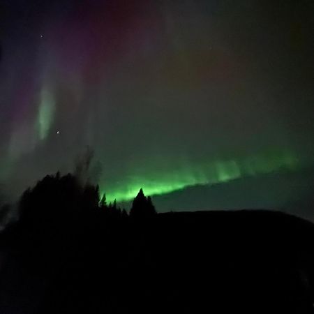 Ett Hus Med 3 Sovrum Med Supersnabba Internet Fiberanslutningen 1000Mb-100Mb I Hoeg, 7 Minuter Fran Hudiksvall Dış mekan fotoğraf