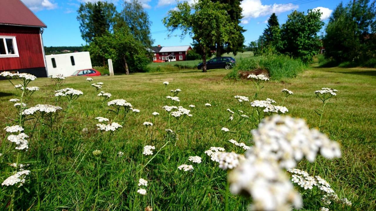 Ett Hus Med 3 Sovrum Med Supersnabba Internet Fiberanslutningen 1000Mb-100Mb I Hoeg, 7 Minuter Fran Hudiksvall Dış mekan fotoğraf