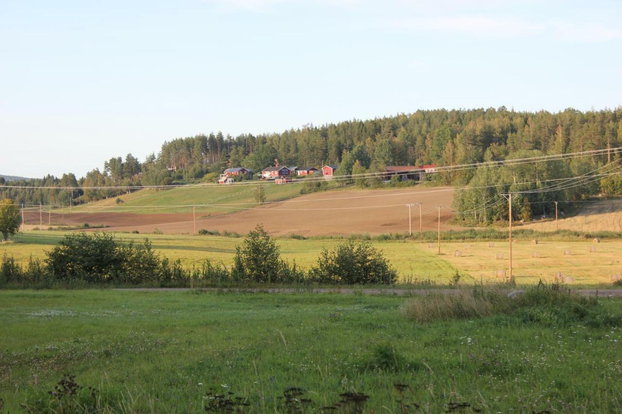 Ett Hus Med 3 Sovrum Med Supersnabba Internet Fiberanslutningen 1000Mb-100Mb I Hoeg, 7 Minuter Fran Hudiksvall Dış mekan fotoğraf